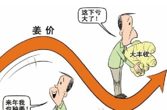 “姜你军”跌的最狠 是咋回事呢？