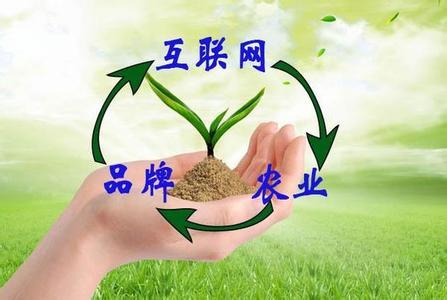 “互联网+农业+品牌”等于什么？