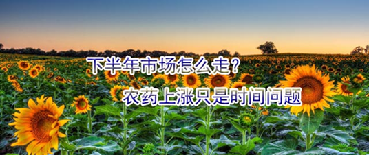 下半年市场怎么走？农药上涨只是时间问题