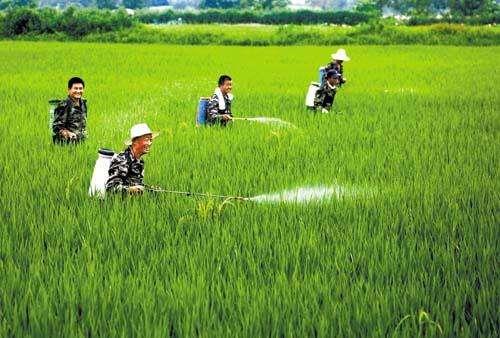 农资市场鱼龙混杂，抗性真的有宣传的那么严重吗？