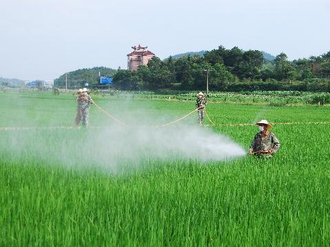农药原药市场需求疲软，部分品种价格松动