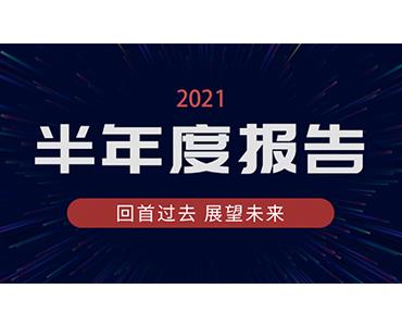 华体育app官网入口药业集团2021年半年度报告