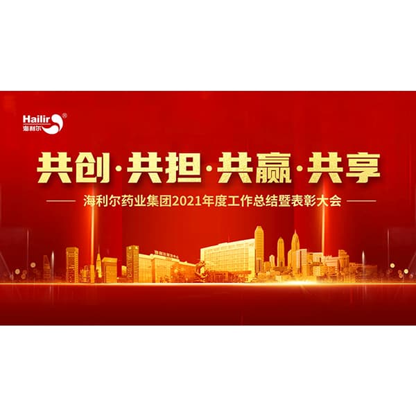 共创 共担 共赢 共享——华体育app官网入口药业集团2021年度工作总结暨表彰大会隆重召开