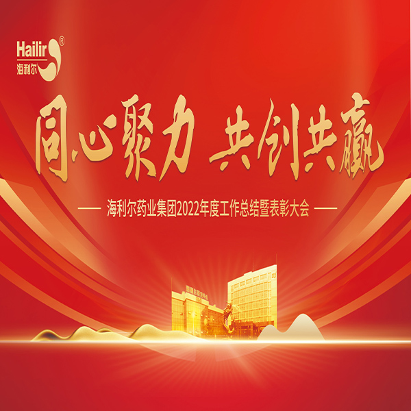 同心聚力 共创共赢——华体育app官网入口药业集团2022年度工作总结暨表彰大会隆重召开